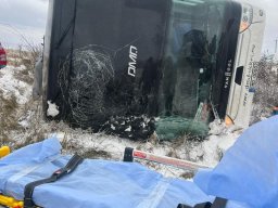 whatsapp_image_2026-01-19_at_11_03_24